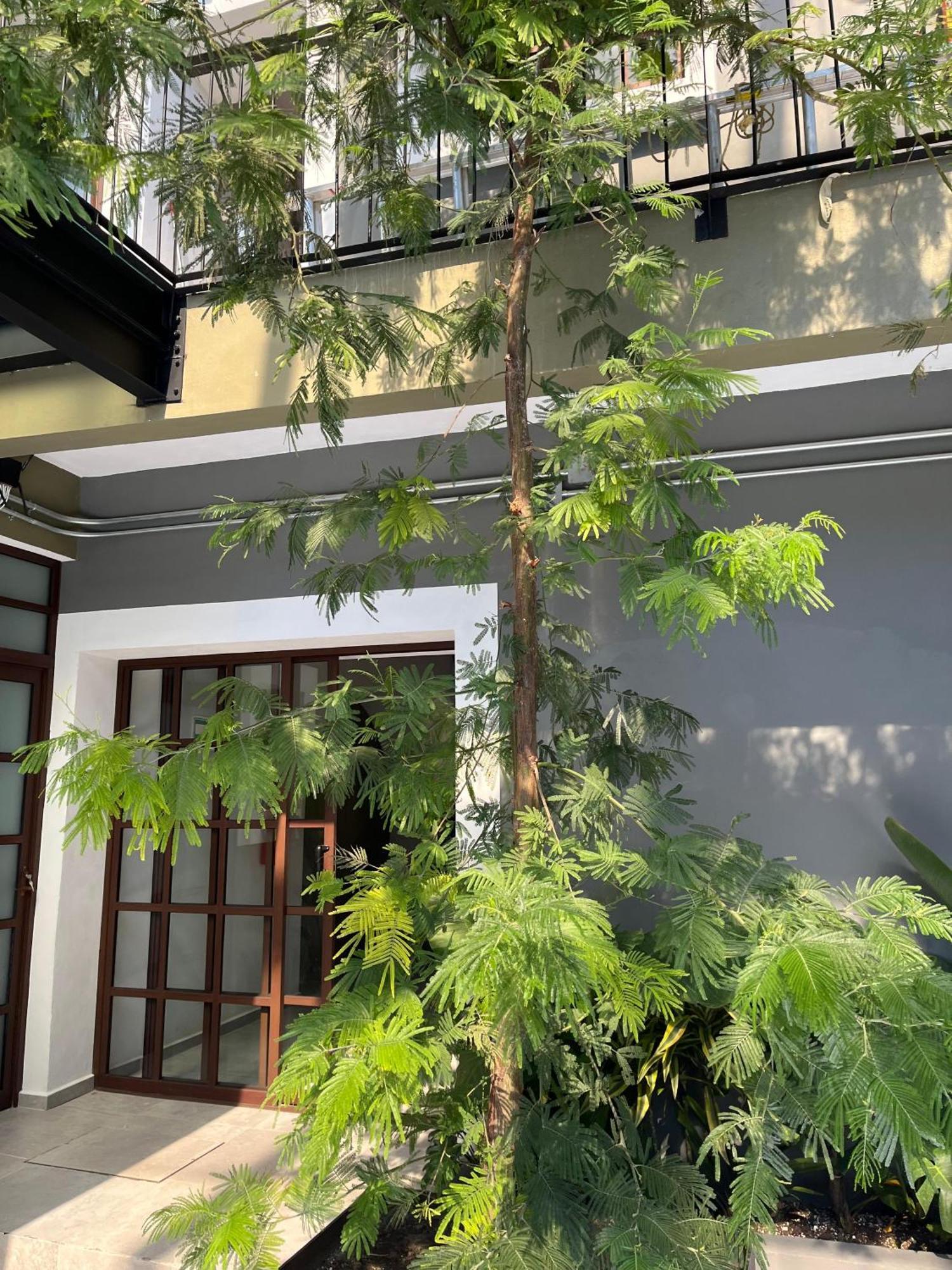 Eonia Otel Atlixco Dış mekan fotoğraf